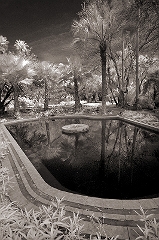 Tom's Fountain 1